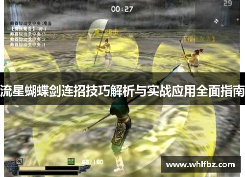 流星蝴蝶剑连招技巧解析与实战应用全面指南